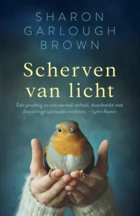 Scherven van licht